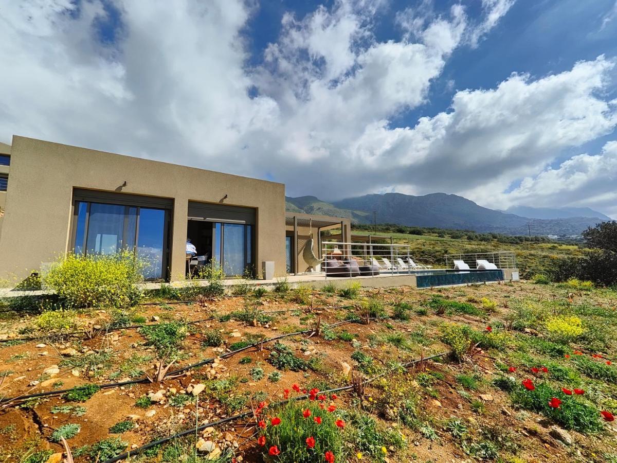 Villa Olive And Aloe